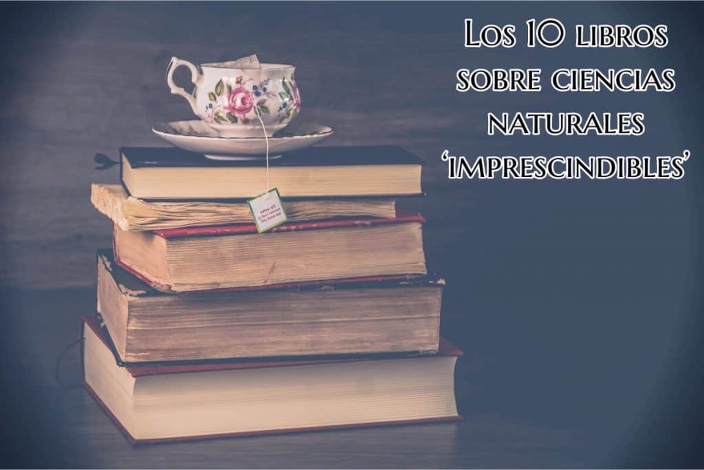taza-de-te-encima-de-libros-que-tratan-sobre-la-humanidad