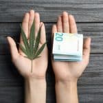 industria del cannabis