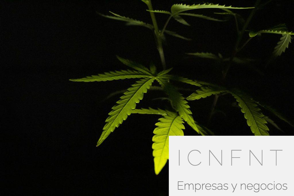 Grow shop en Madrid