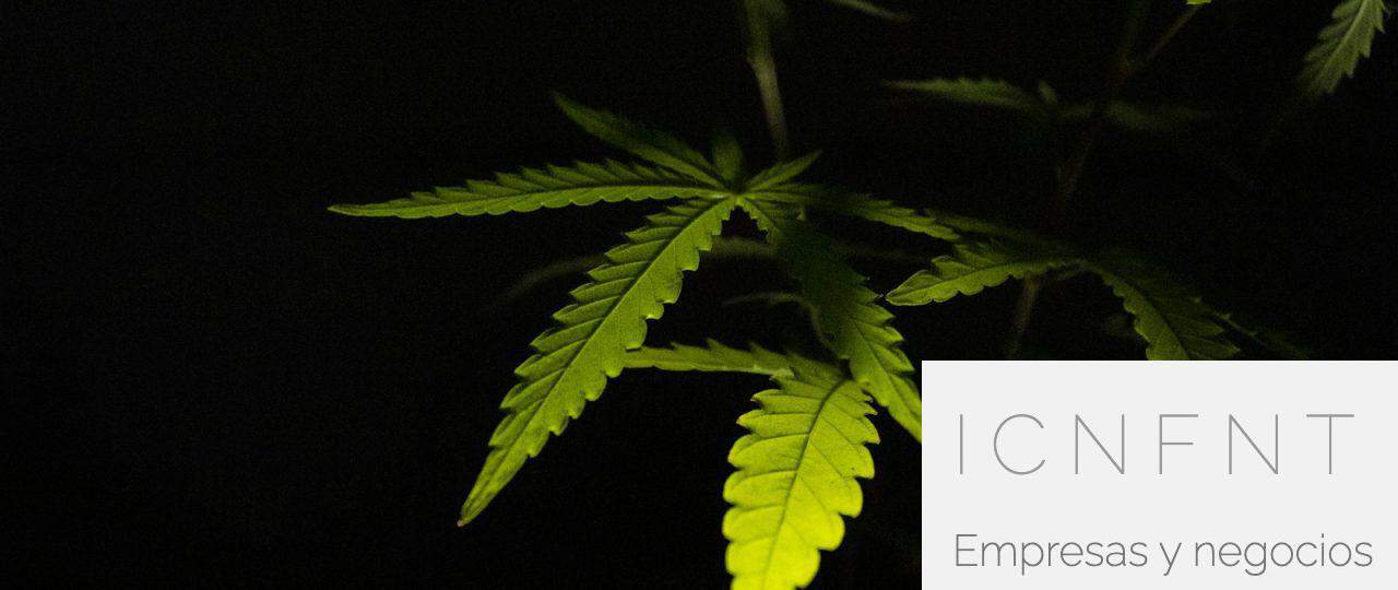 Grow shop en Madrid