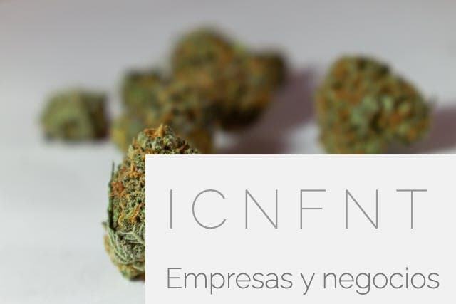legalidad de las semillas de Marihuana en España