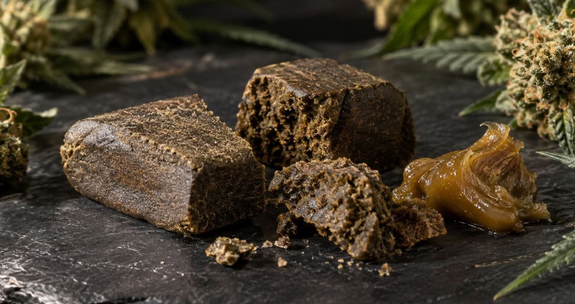 Hash CBD: qué es, tipos de resinas y cómo comparar su calidad